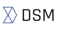  dsm